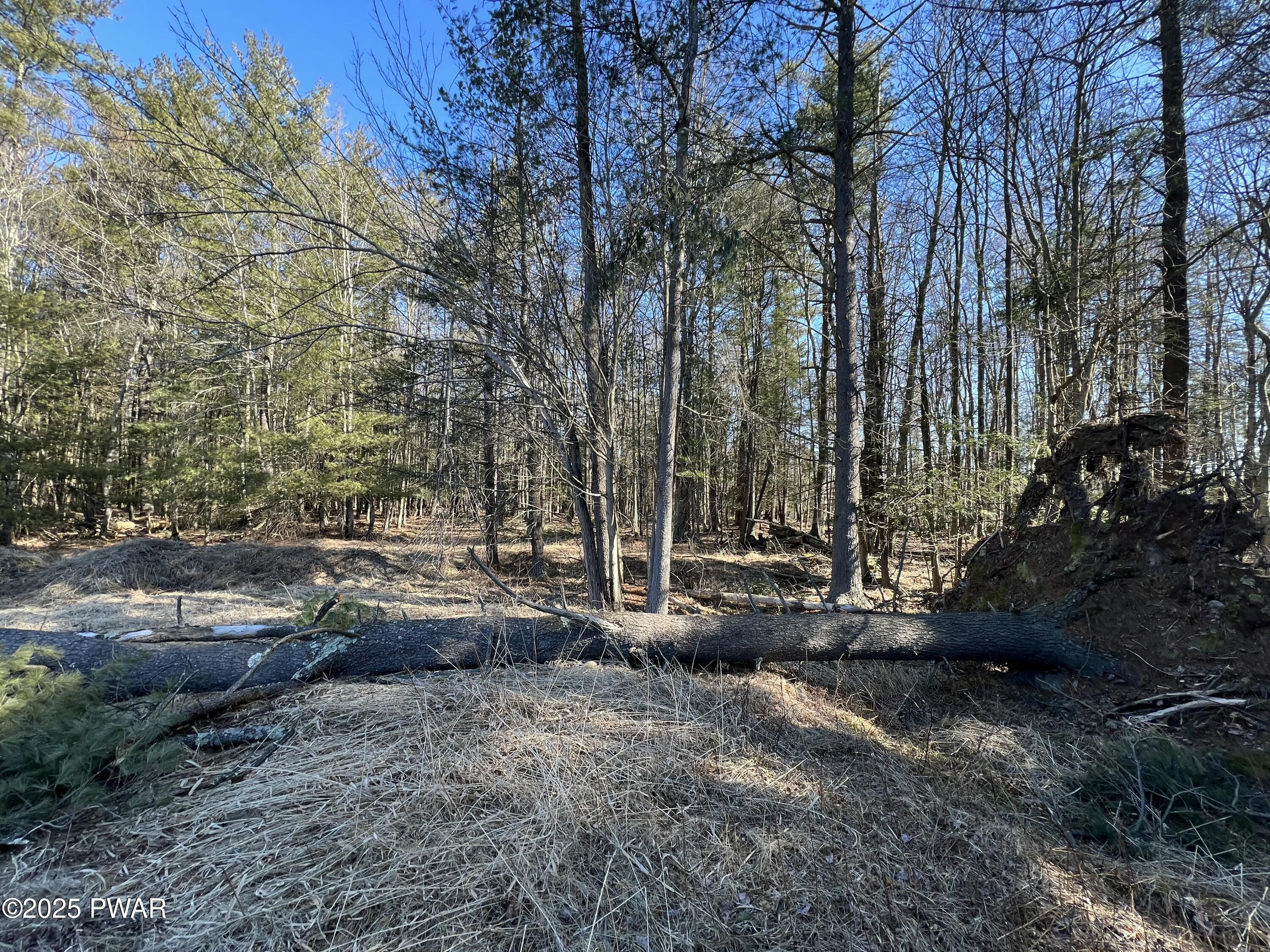 18 R Deer Laurel Estates Rd Lake Lake Ariel, PA 18436 - Photo 21 of 38