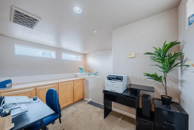 a living room with furniture and a potted plant