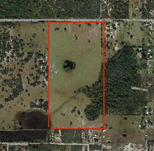 $3,000,000 | Cut-off Alturas Babson Park, Lake Wales, FL 33859