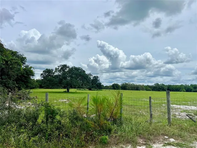 a view of a big yard with a large trees