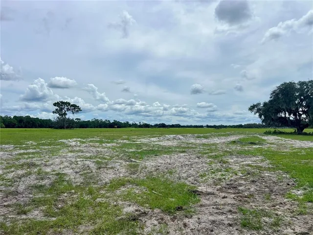 a view of yard with swimming pool