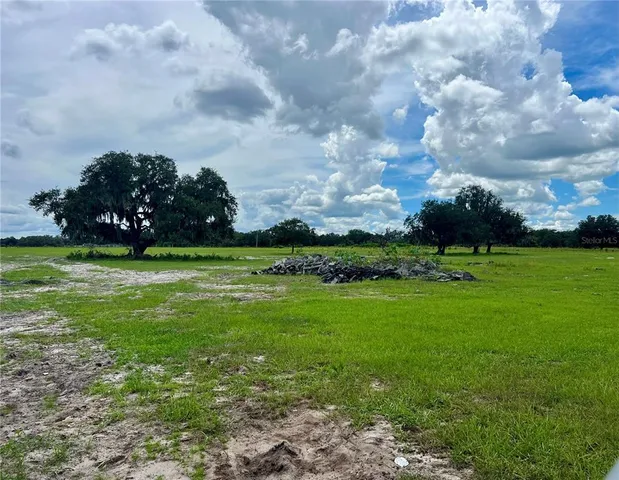 a view of a field of grass and trees