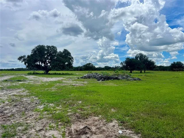 a view of a field of grass and trees