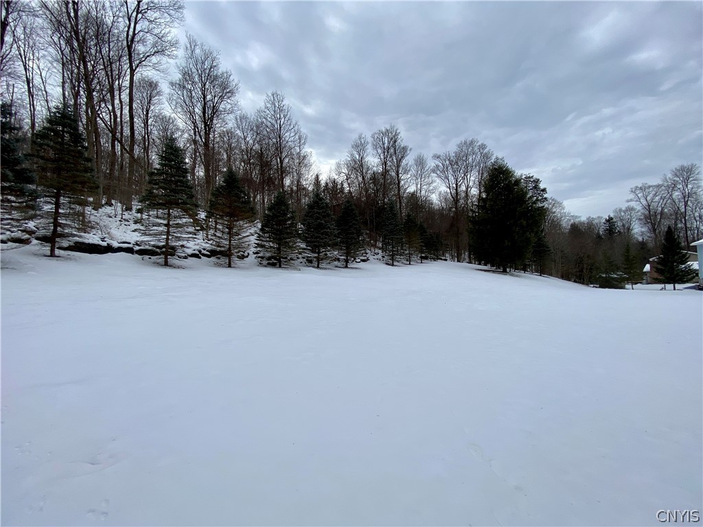 7492 Armstrong Road Manlius, NY 13104 - Photo 3 of 50