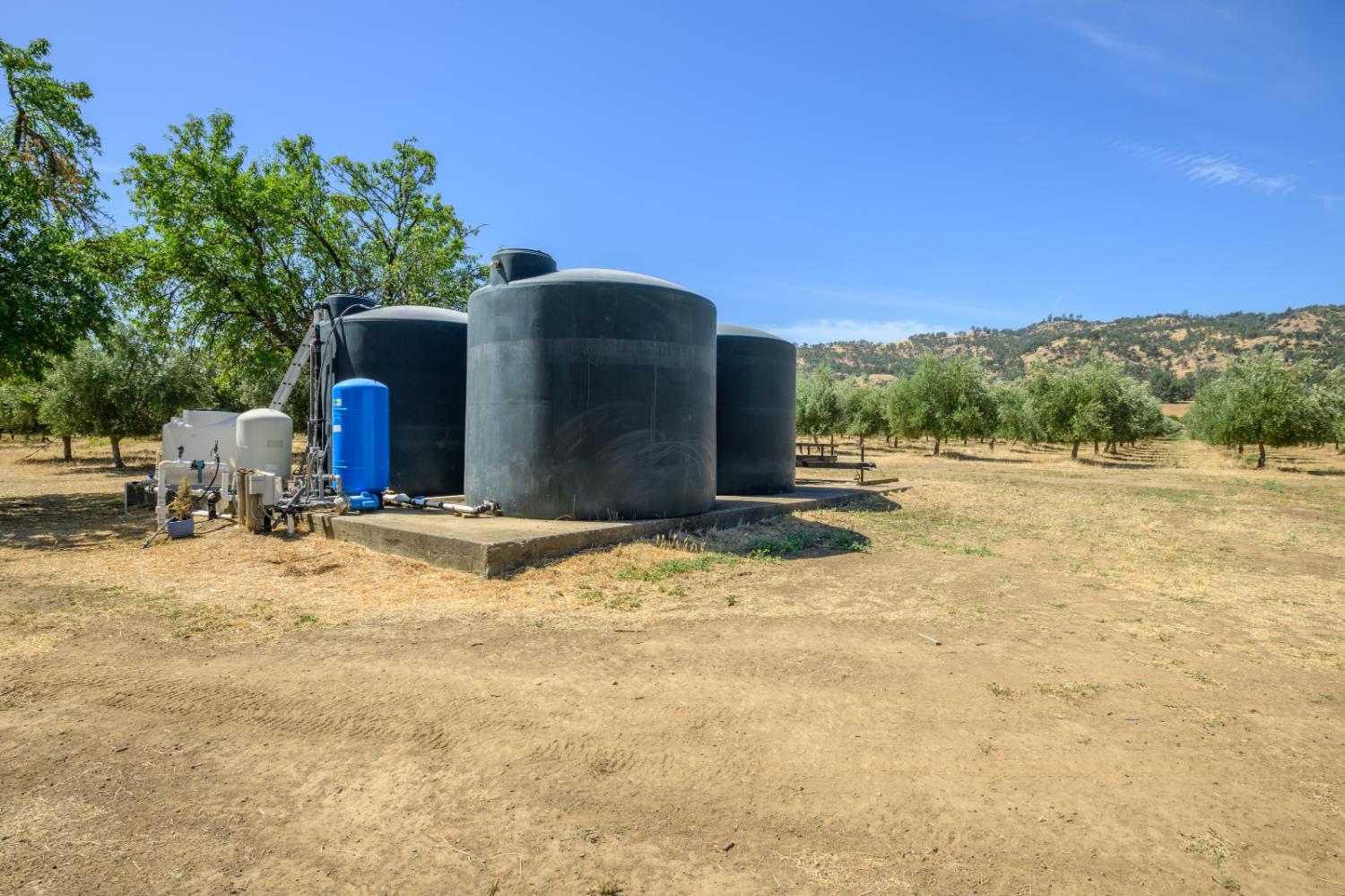 20115 County Road 79A Capay, CA 95607 - Photo 22 of 44