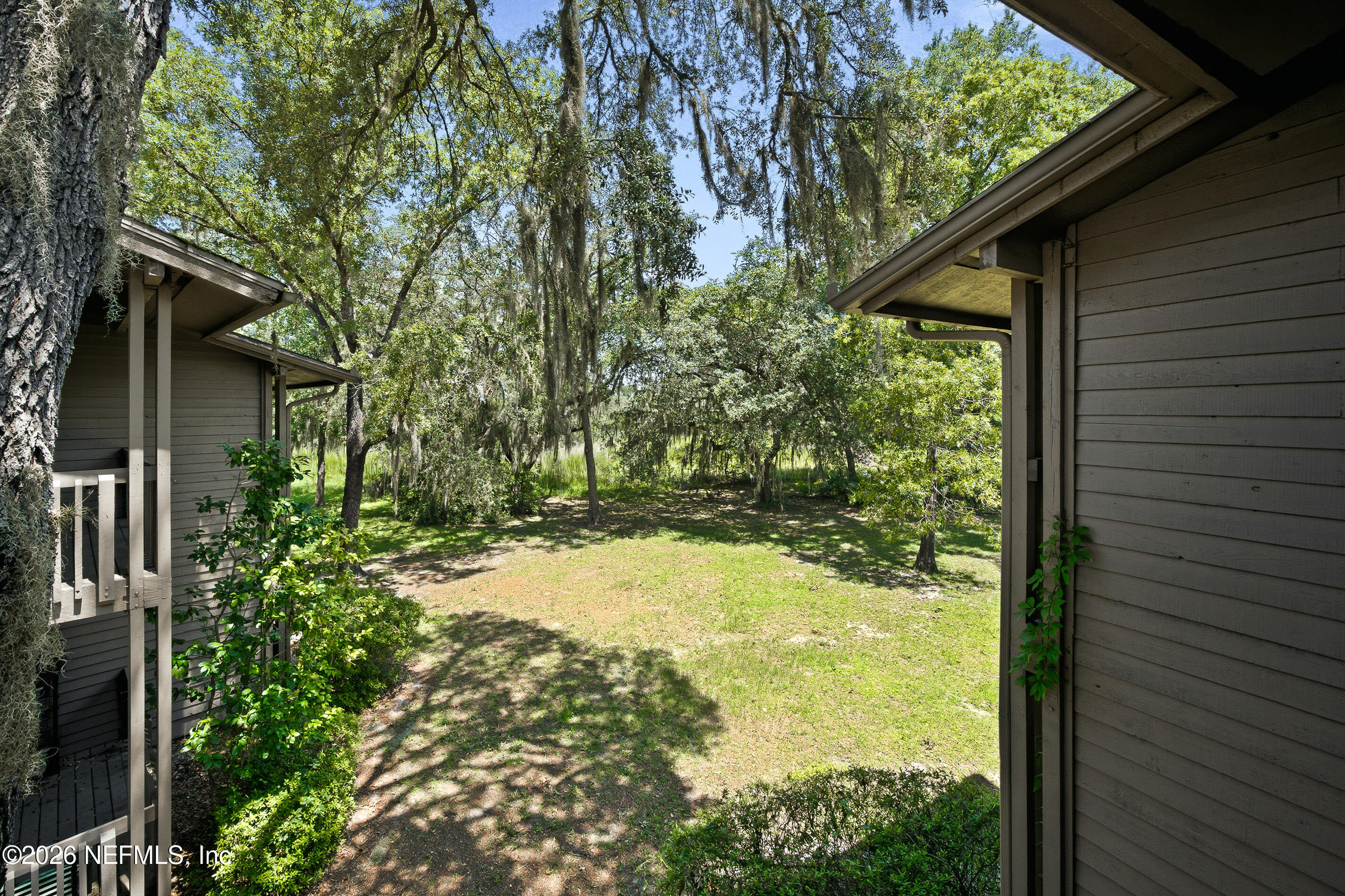 3165 Ravines Road, Unit 3621 Middleburg, FL 32068 - Photo 10 of 24 Ex Back Yard View