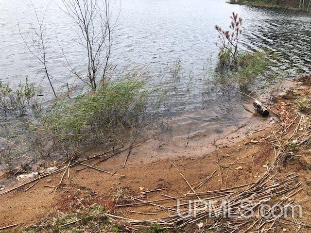 Tbd Adams Trail Seney, MI 49883 - Photo 2 of 16