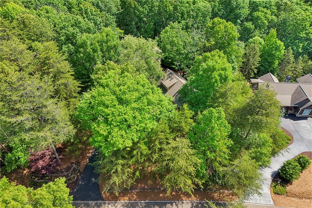 189 Red Trillium Ridge Big Canoe, GA 30143 - Photo 86 of 98 an aerial view of residential house with outdoor space and trees all around