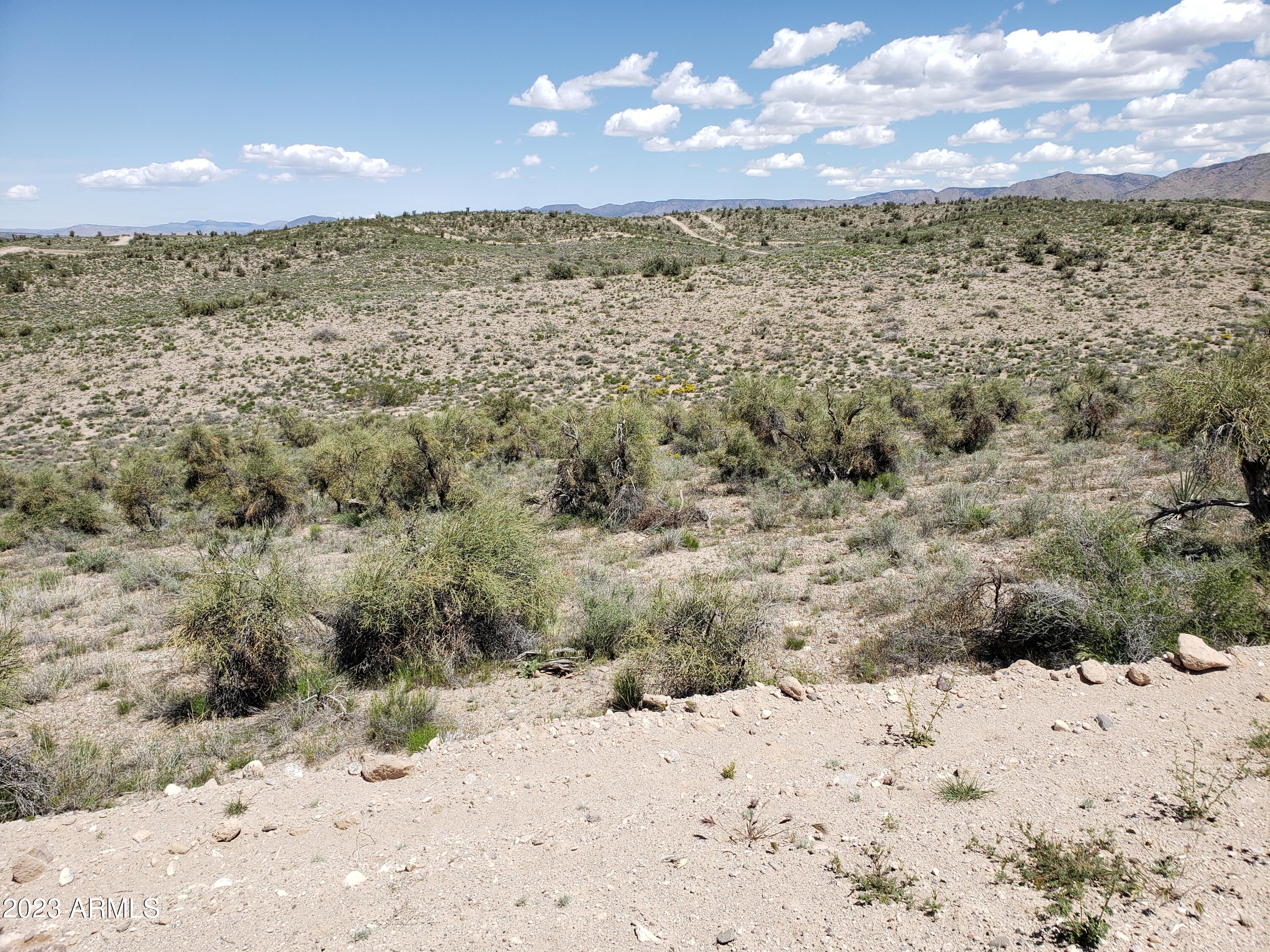 2400 South Rolling Stone Road Kingman, AZ 86401 - Photo 16 of 24 20230423_113903