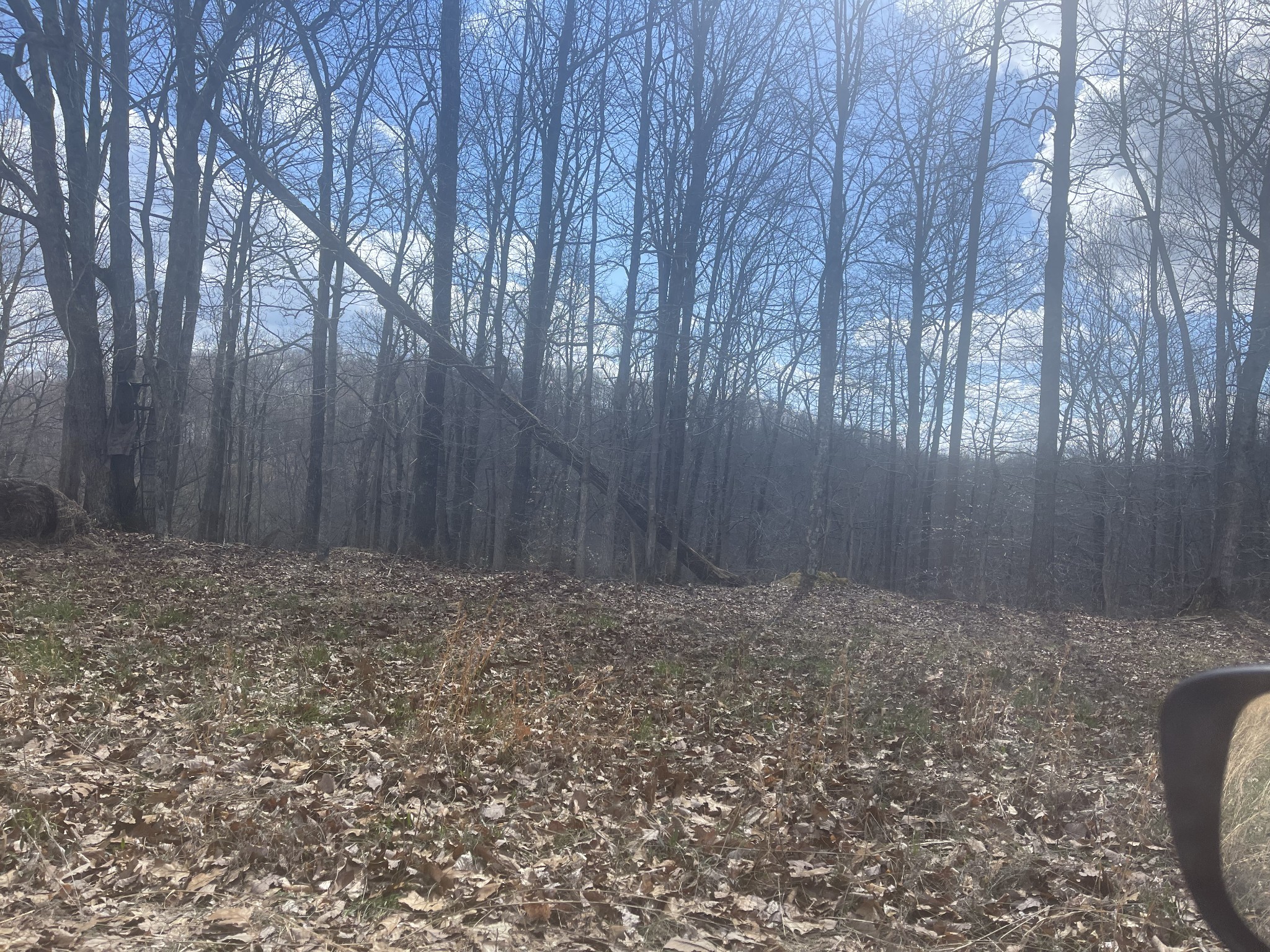 0 Mt Vernon Road Bethpage, TN 37022 - Photo 2 of 3 a view of a backyard