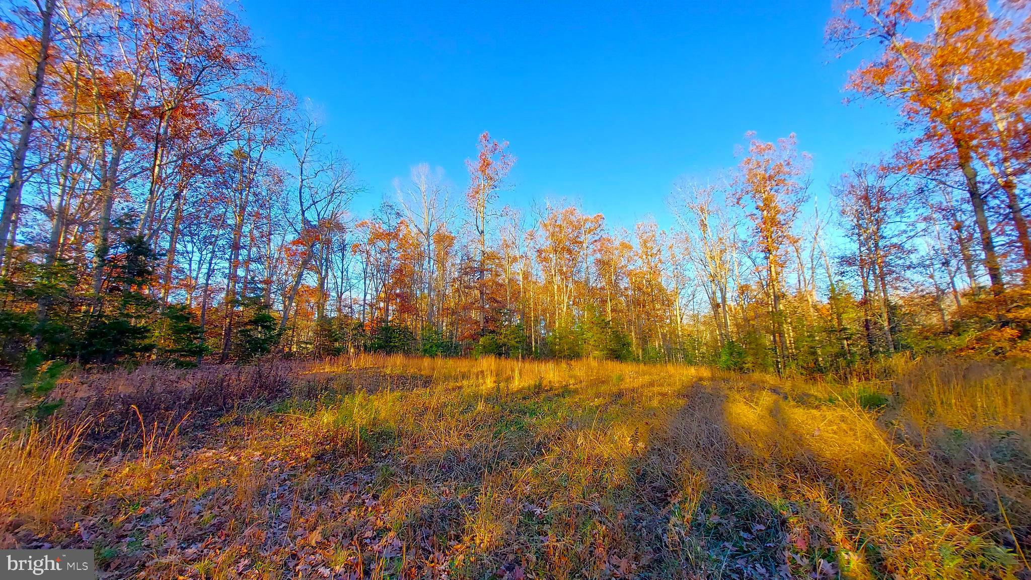0 Orange Springs Road Spotsylvania, VA 22551 - Photo 3 of 5