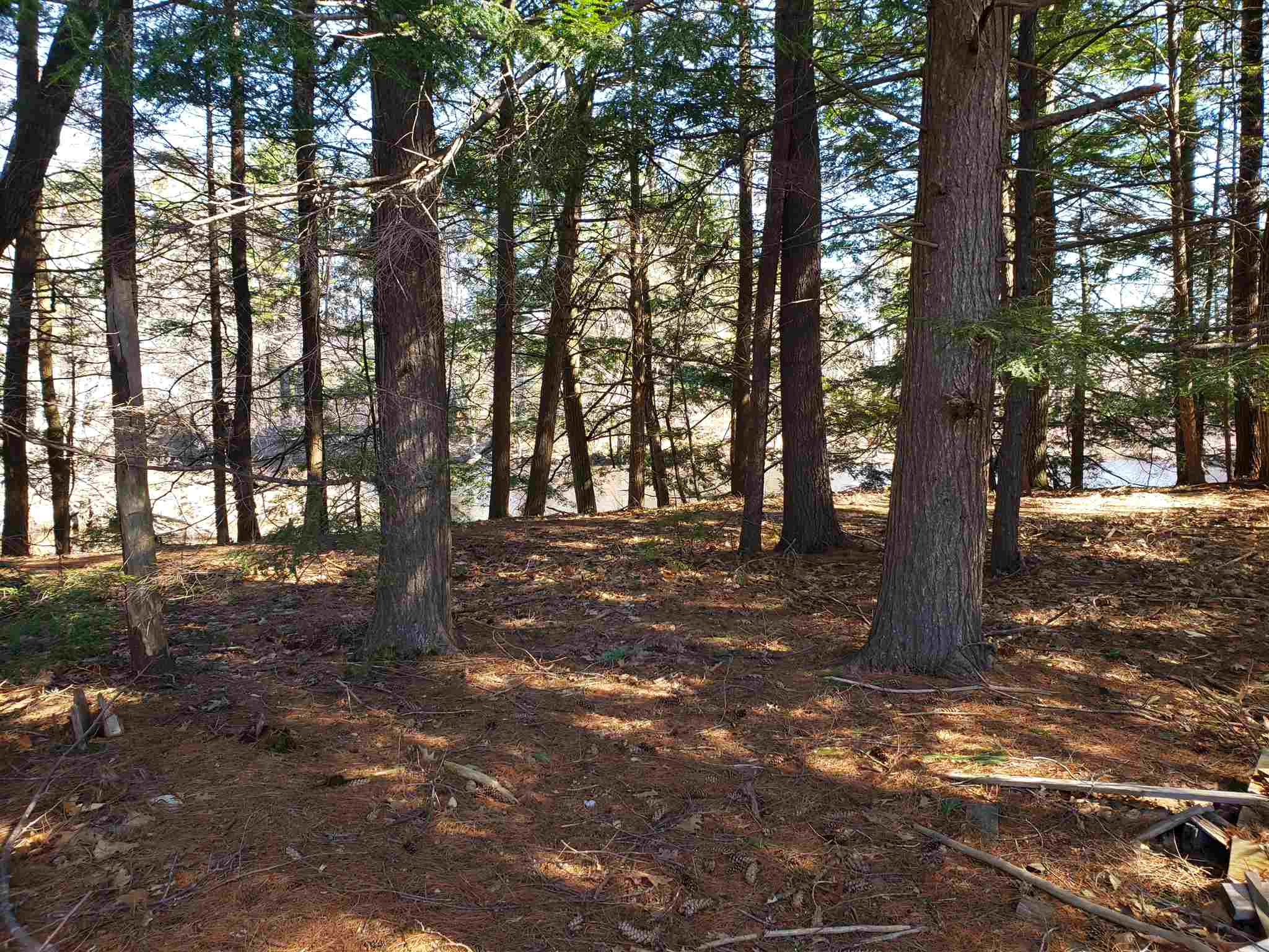 103 Martin Road Deering, NH 03244 - Photo 4 of 16