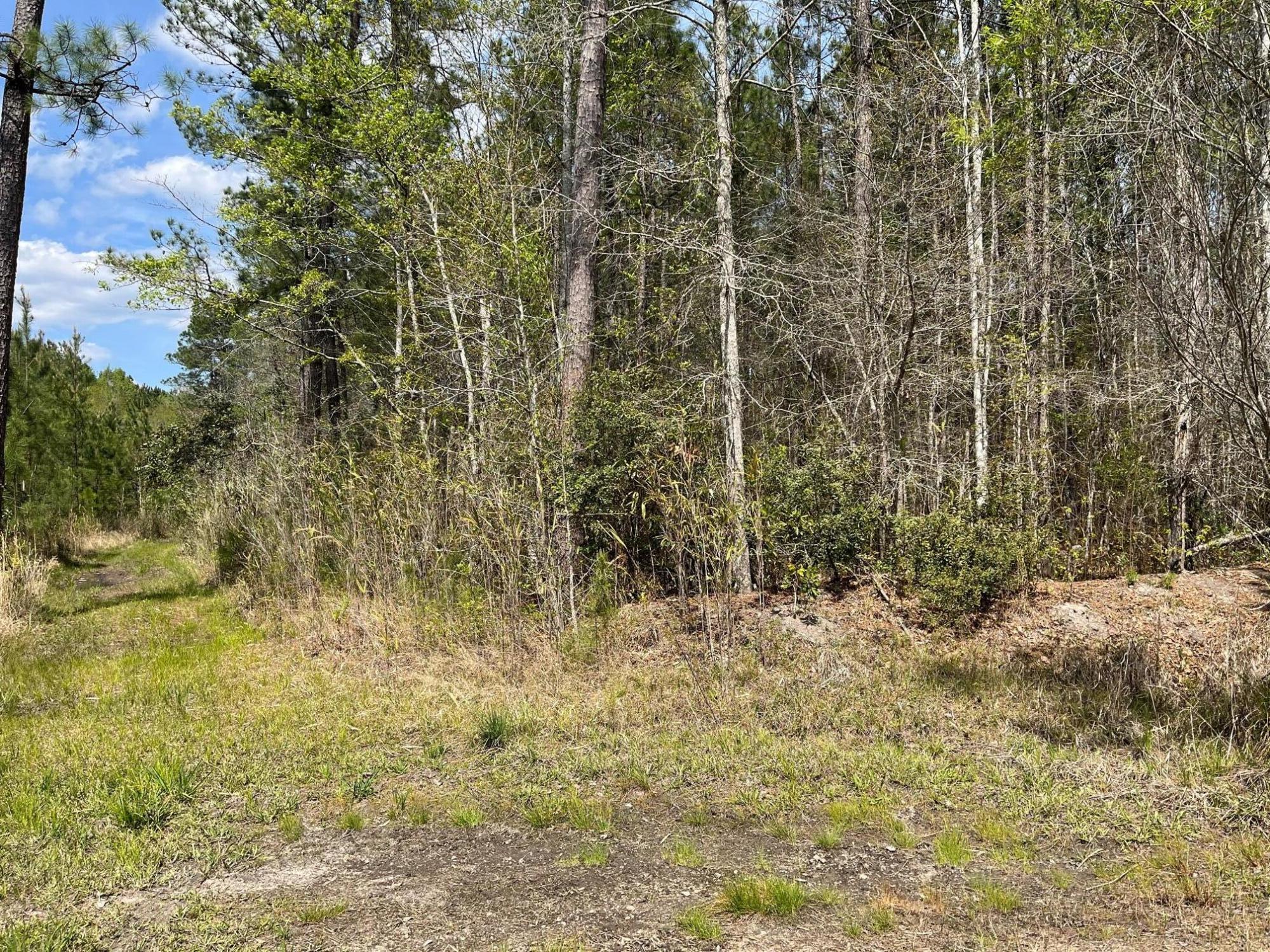 Tbd Brick Road Walterboro, SC 29488 - Photo 2 of 5 image3
