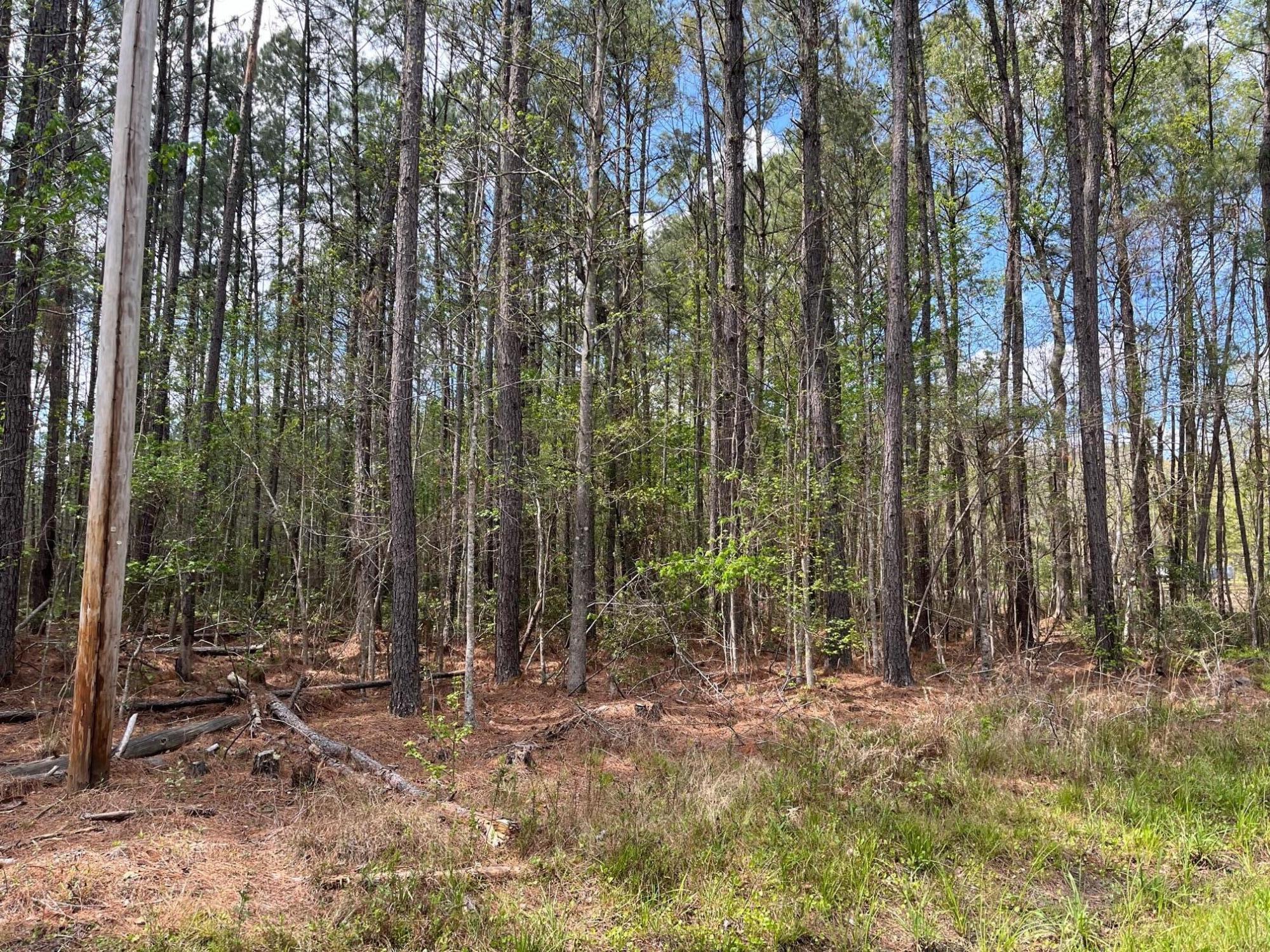 Tbd Brick Road Walterboro, SC 29488 - Photo 5 of 5 image0 (1)