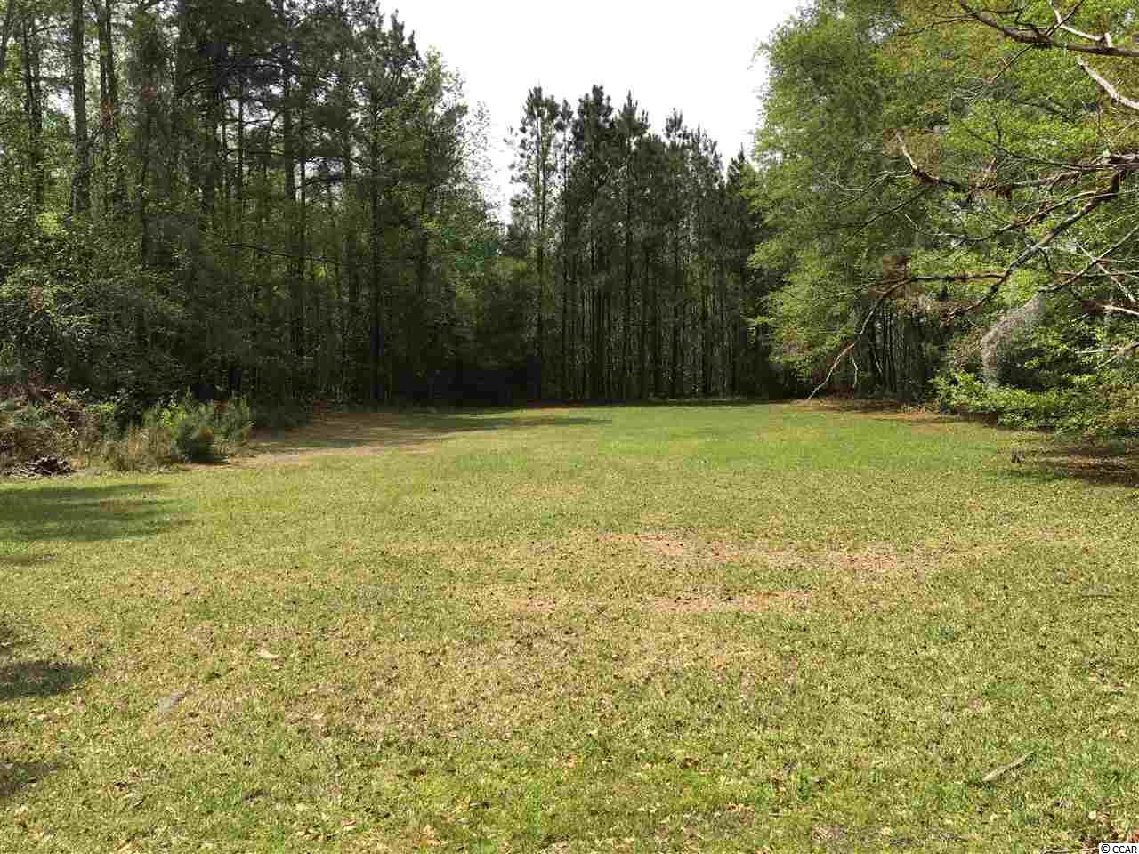 200 Old Kingstree Road Hemingway, SC 29554 - Photo 5 of 12