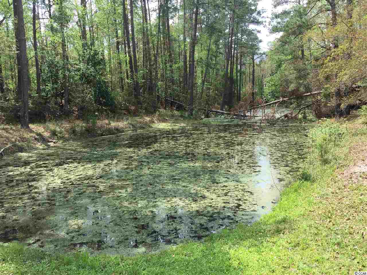 200 Old Kingstree Road Hemingway, SC 29554 - Photo 6 of 12