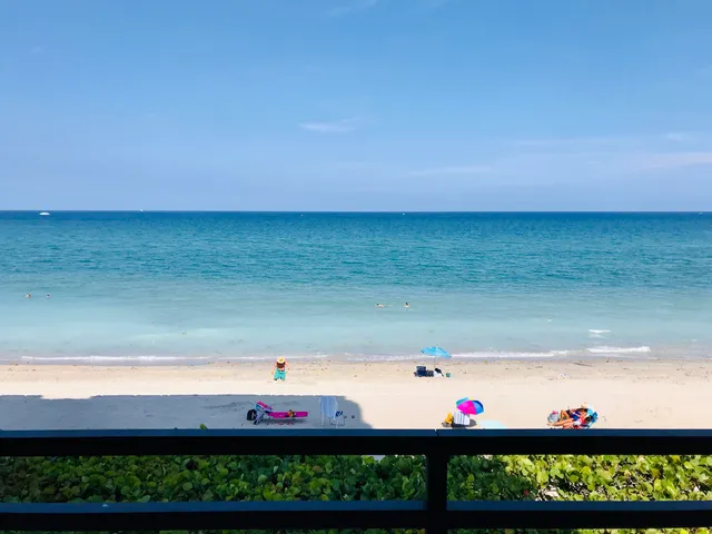 a view of bunch of an outdoor space