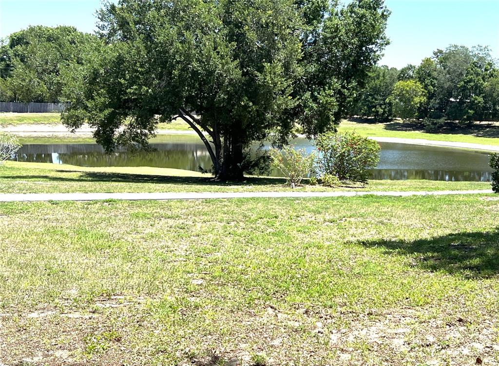 2655 Pine Ridge Way North, Unit B1 Palm Harbor, FL 34684 - Photo 7 of 40