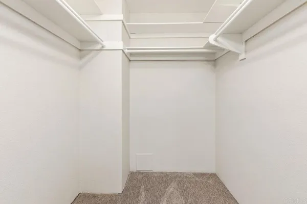 a bathroom with a shower and a toilet