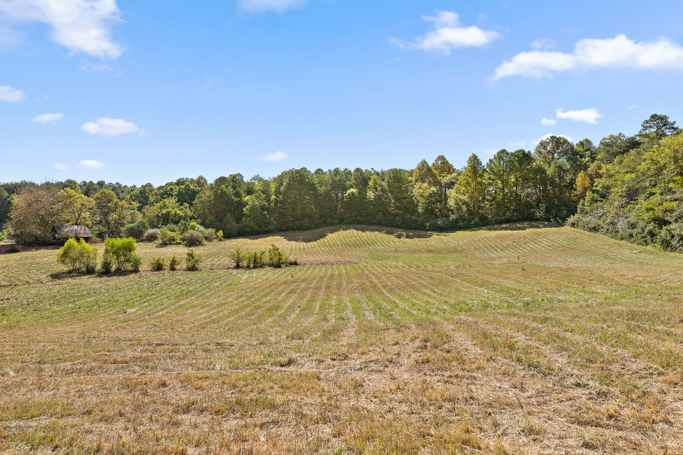 616 Lewis Chapel Road Graysville, TN 37338 - Photo 11 of 22 616 Lewis Chapel Rd