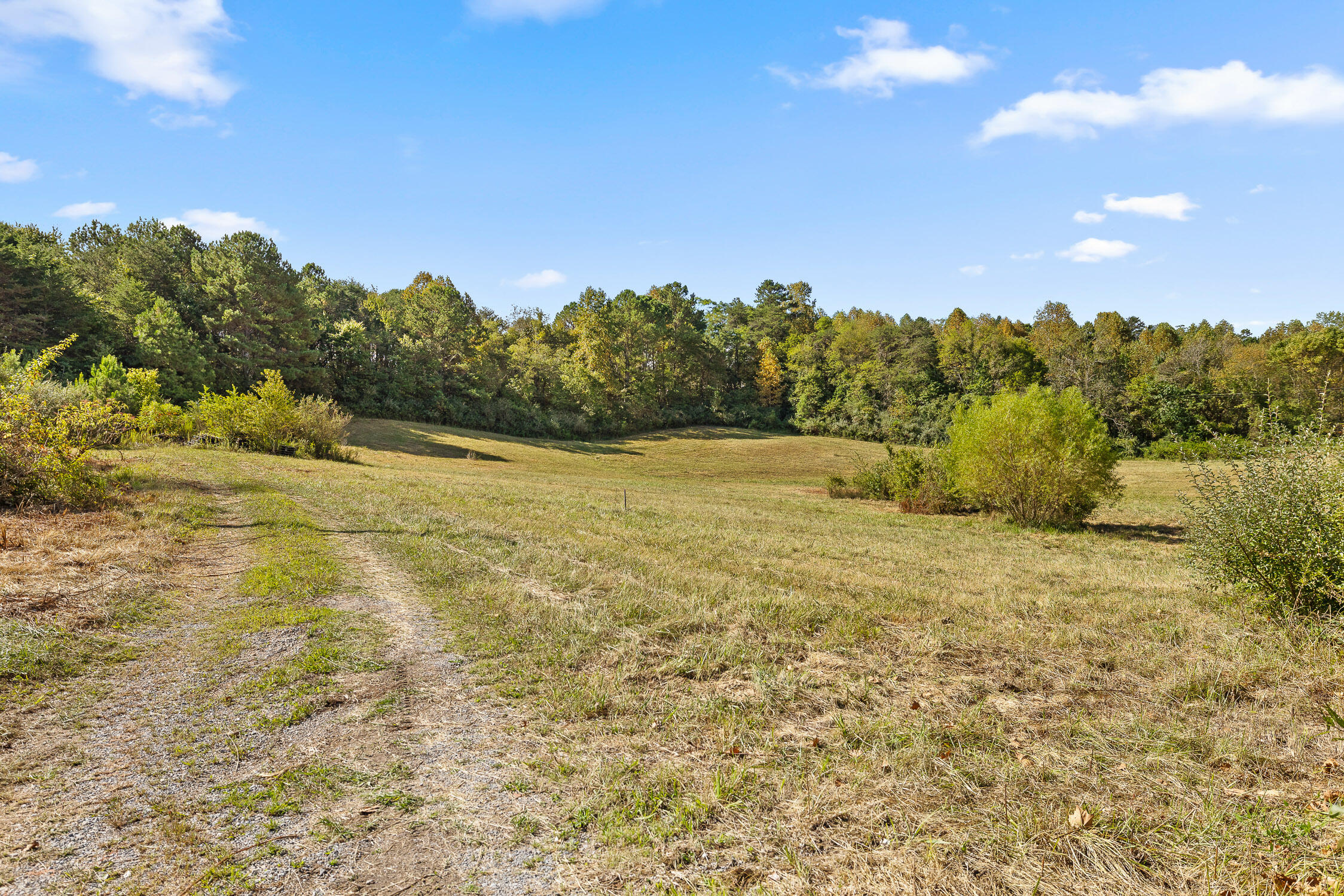 616 Lewis Chapel Road Graysville, TN 37338 - Photo 9 of 22 616 Lewis Chapel Rd