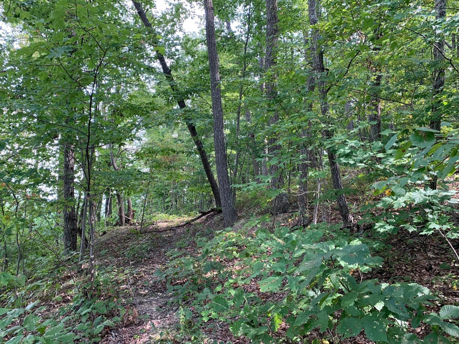 A Phipps Road Lucasville, OH 45648 - Photo 13 of 36 Gallery Image 13