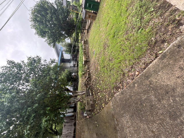 1702 Perez Street Austin, TX 78721 - Photo 6 of 17 a front view of houses with yard