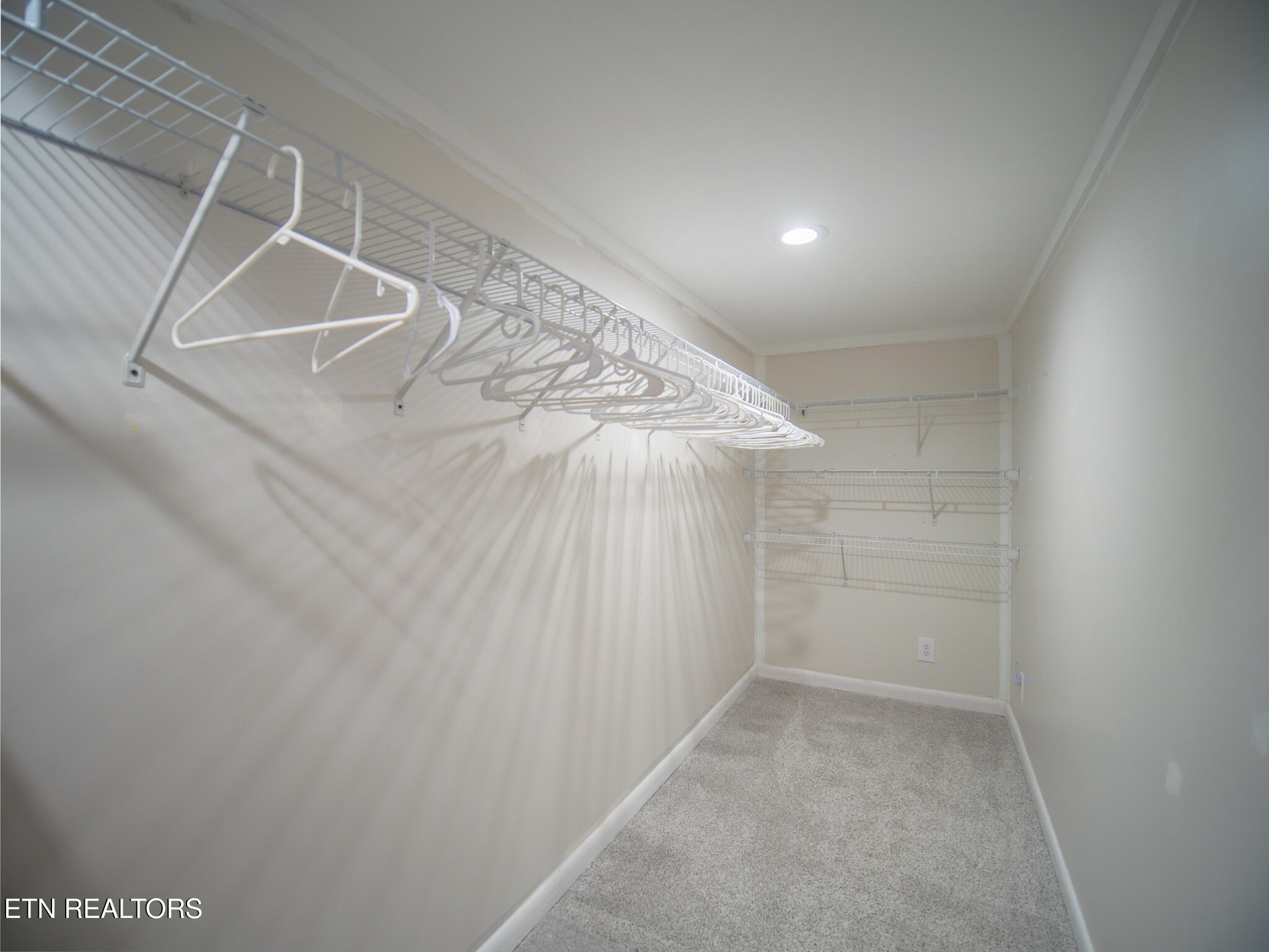 624 Tate Trotter Road Powell, TN 37849 - Photo 30 of 49 Basement Storage