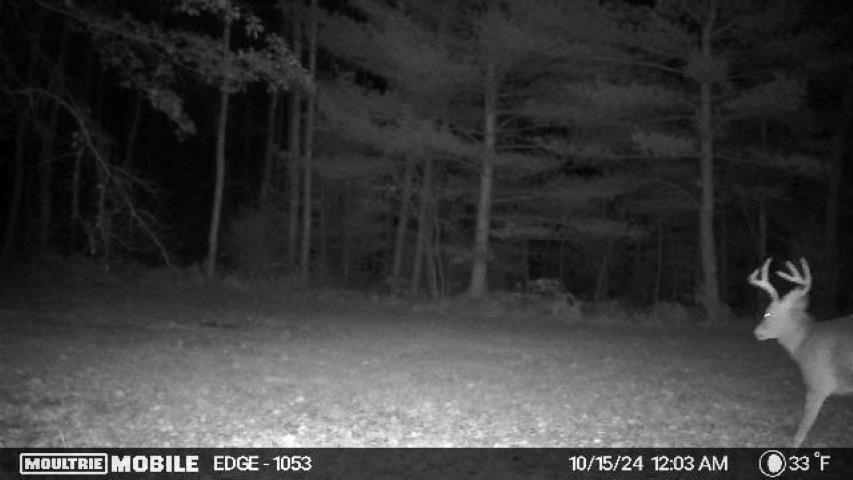 Vl Kolarvic Road Manton, MI 49663 - Photo 19 of 28