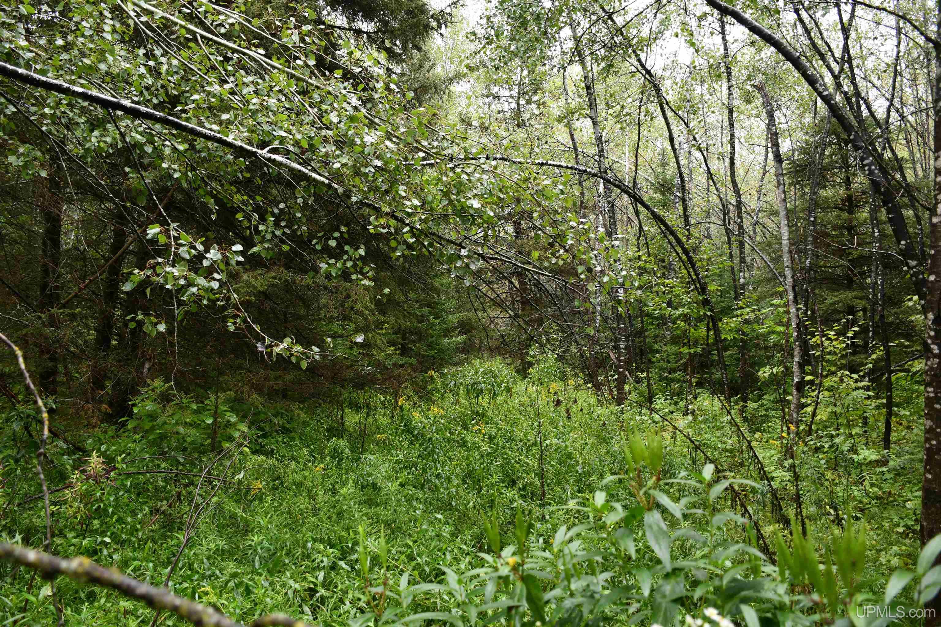 Tbd County Line Road Foster City, MI 49834 - Photo 48 of 56