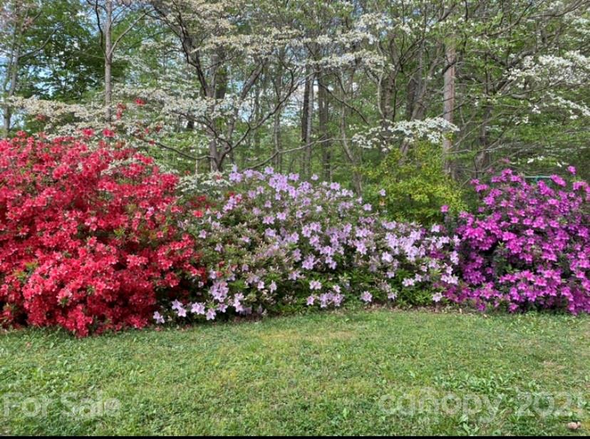 145 Azalea Road Mooresville, NC 28115 - Photo 23 of 24 a street view with sitting space and garden