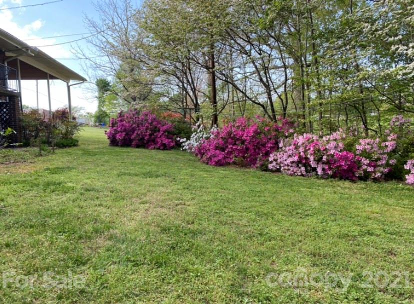 145 Azalea Road Mooresville, NC 28115 - Photo 24 of 24 a front view of a house with a yard and tree