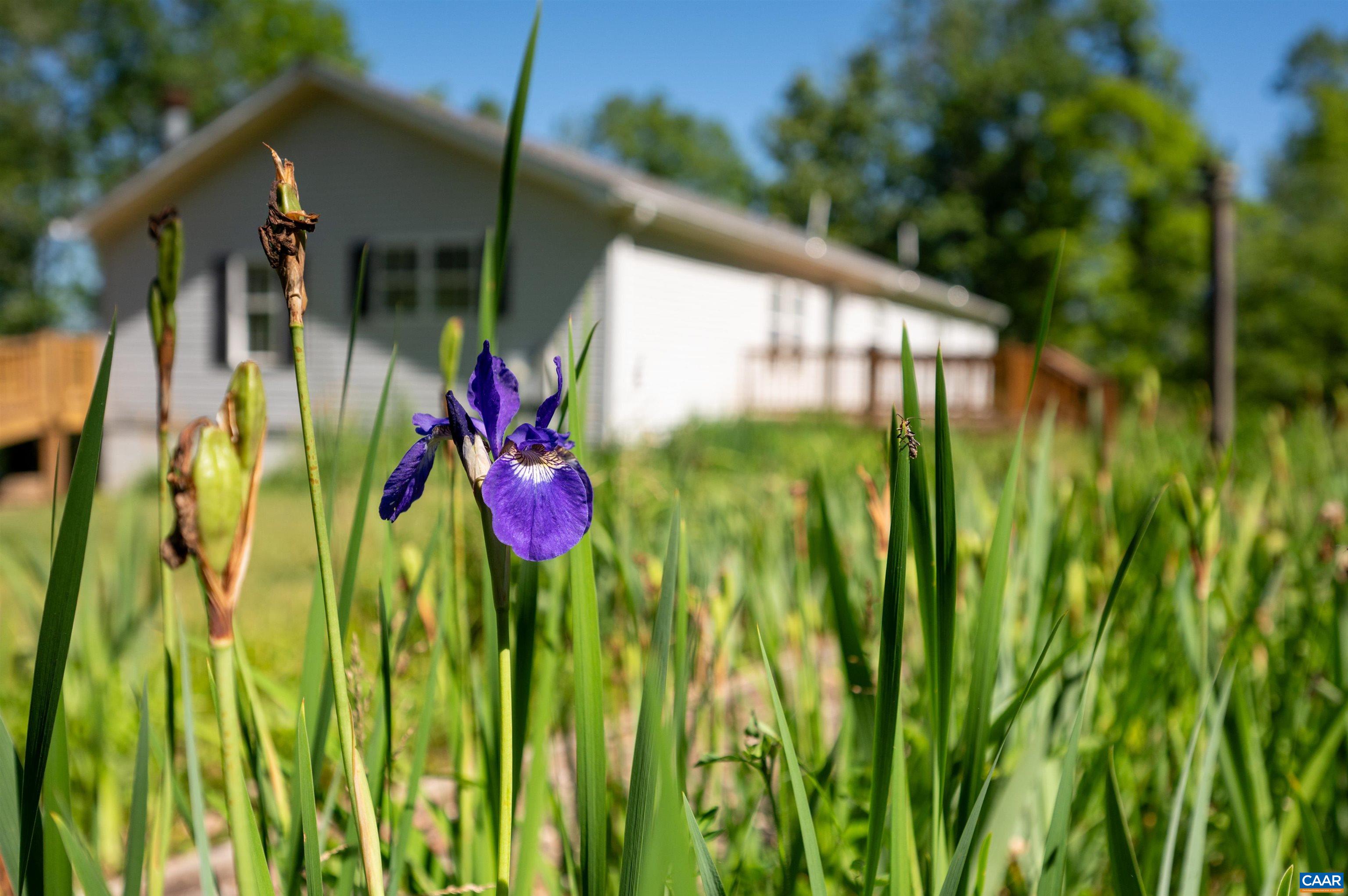 226 Mill Creek Road Millboro, VA 24460 - Photo 40 of 66