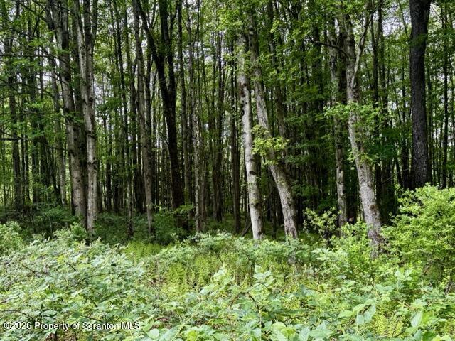 Marvins Road Susquehanna, PA 18847 - Photo 15 of 17 IMG_2832 Medium