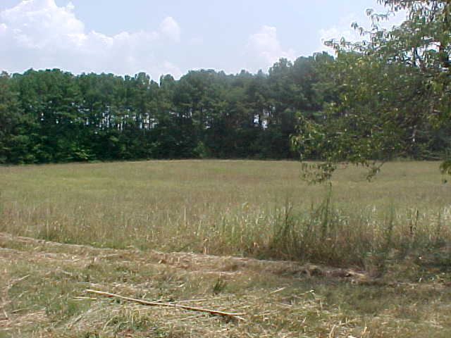 5031 Lewis Road McDonald, TN 37353 - Photo 9 of 9 Additional Photo