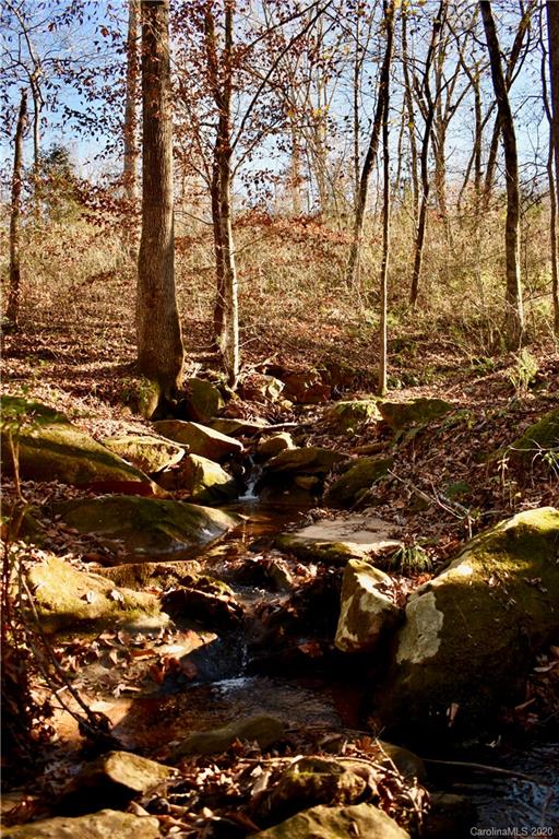 498 Ted Smith Road Rutherfordton, NC 28139 - Photo 30 of 38 a view of outdoor space with lots of trees