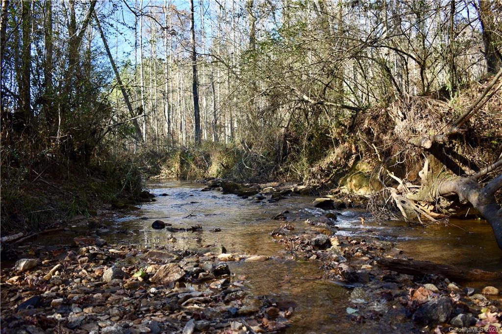 498 Ted Smith Road Rutherfordton, NC 28139 - Photo 35 of 38 a view of a forest with trees