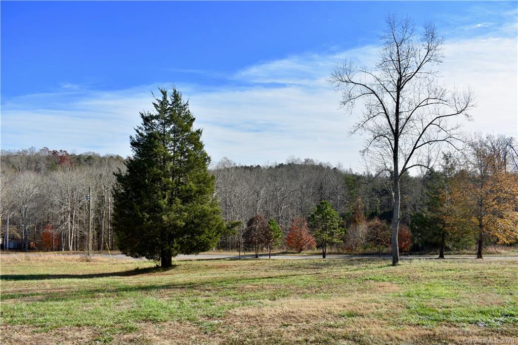 498 Ted Smith Road Rutherfordton, NC 28139 - Photo 6 of 38 a big yard with trees in the background