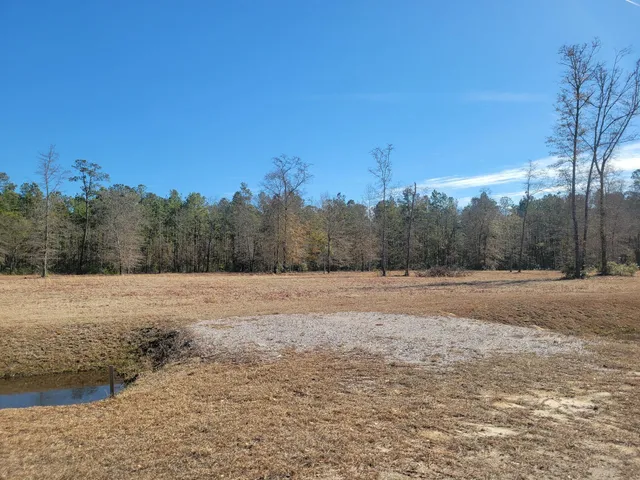 $670,000 | 0 Academy Road, Walterboro, SC 29488