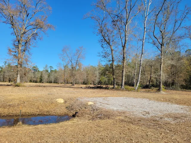 $670,000 | 0 Academy Road, Walterboro, SC 29488