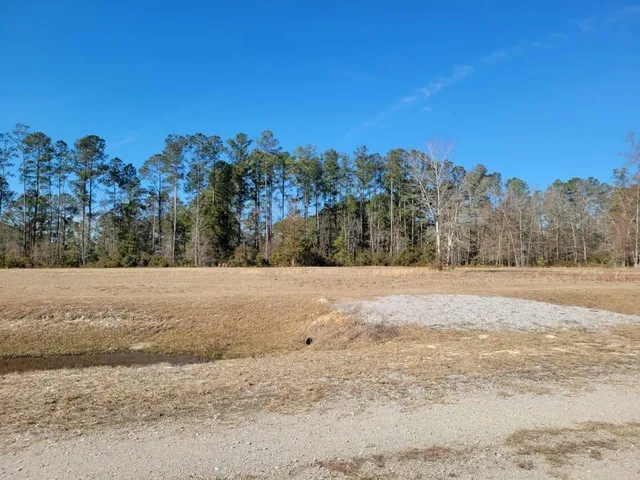 $670,000 | 0 Academy Road, Walterboro, SC 29488
