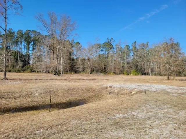 $670,000 | 0 Academy Road, Walterboro, SC 29488