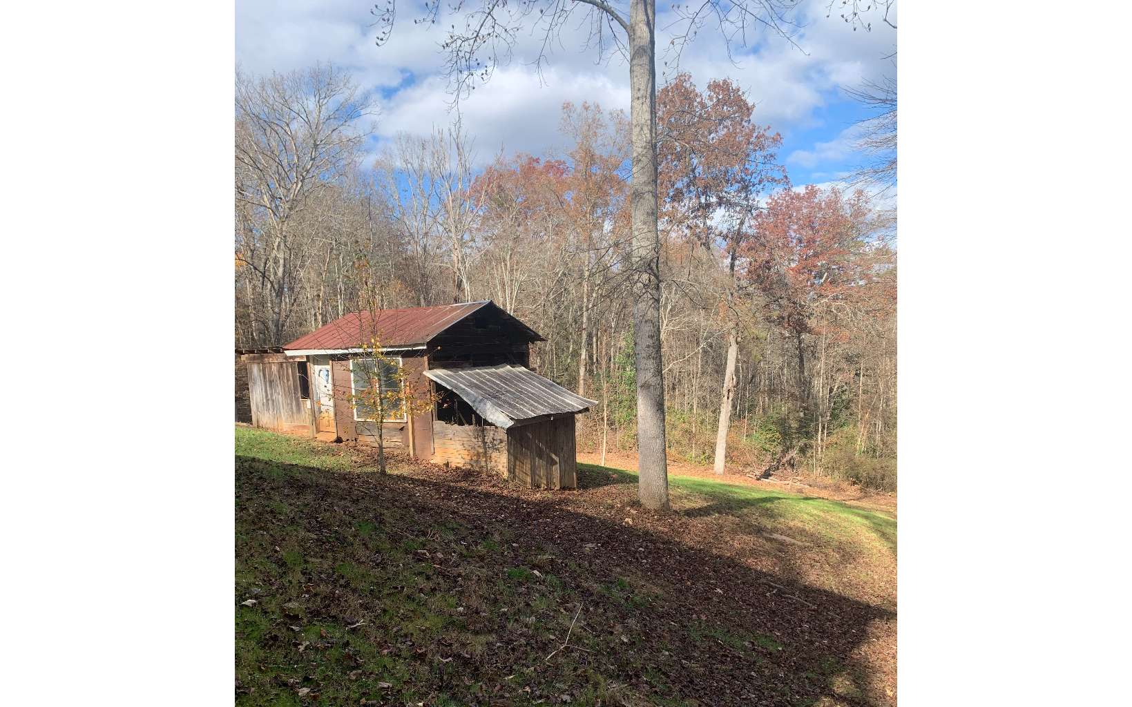 98 Wash Wilson Road Blue Ridge, GA 30513 - Photo 23 of 32 Additional View