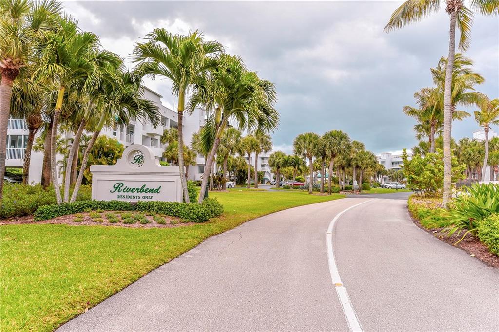 a view of a park with a palm trees