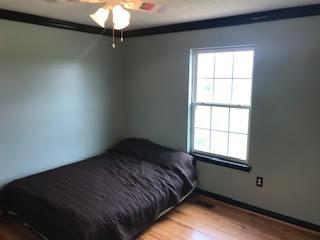 28758 Maune Road Brookville, IN 47012 - Photo 20 of 31 Gallery Image 20