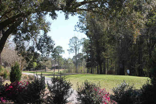 20025 Bunker Loop Fairhope, AL 36532 - Photo 11 of 15