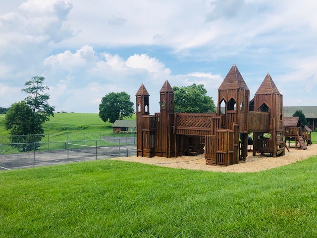 35 C Lot 35c - Swan Ridge Road Celina, TN 38551 - Photo 11 of 14 a view of outdoor space yard and patio