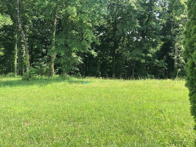 35 C Lot 35c - Swan Ridge Road Celina, TN 38551 - Photo 2 of 14 a view of an outdoor space and a yard