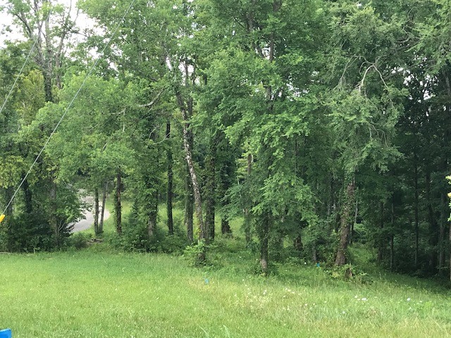 35 C Lot 35c - Swan Ridge Road Celina, TN 38551 - Photo 4 of 14 a view of outdoor space and green space