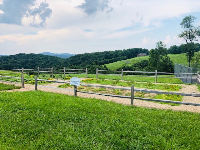 35 C Lot 35c - Swan Ridge Road Celina, TN 38551 - Photo 10 of 14 a view of a park with swimming pool and green space